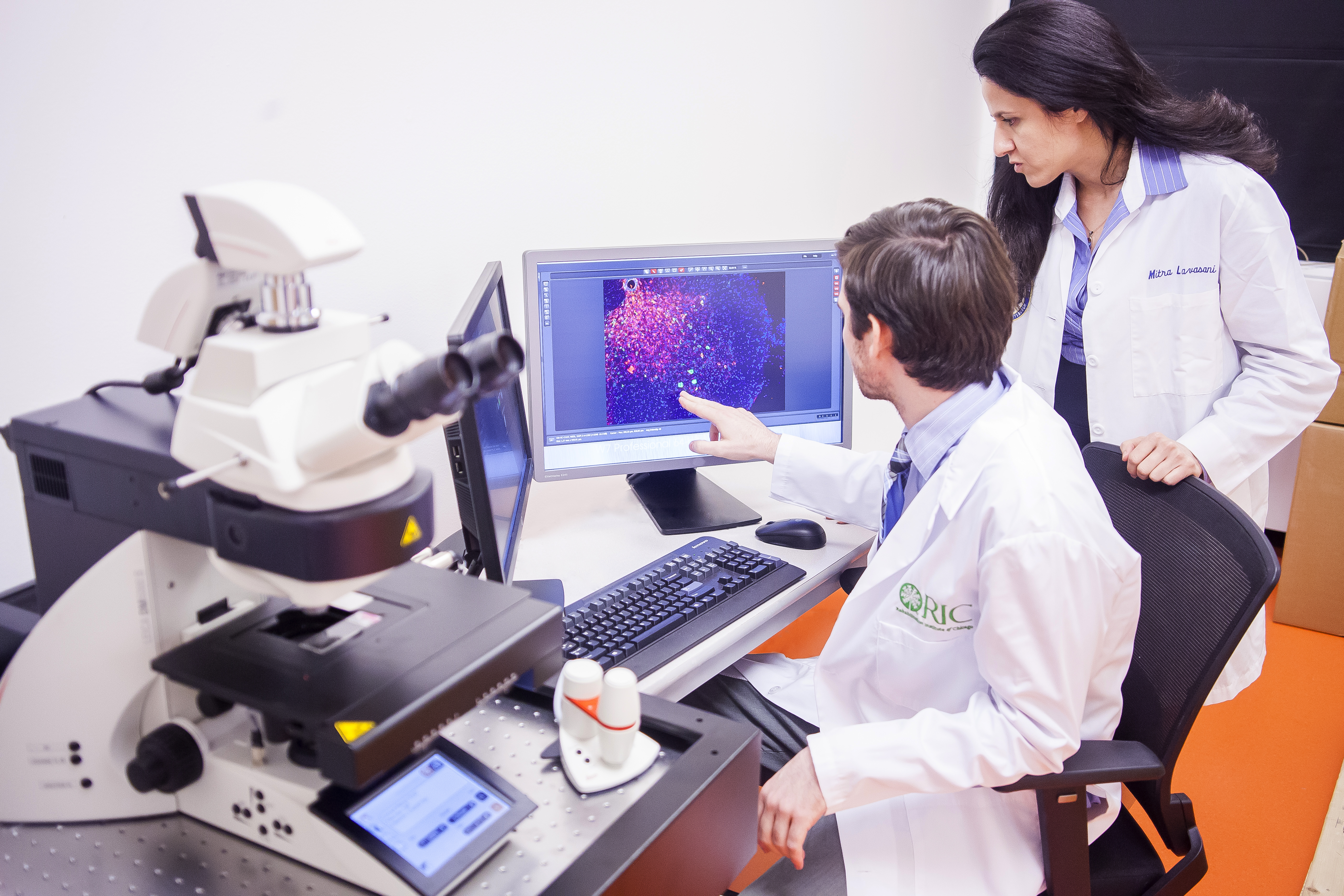Researchers work together to solve problem