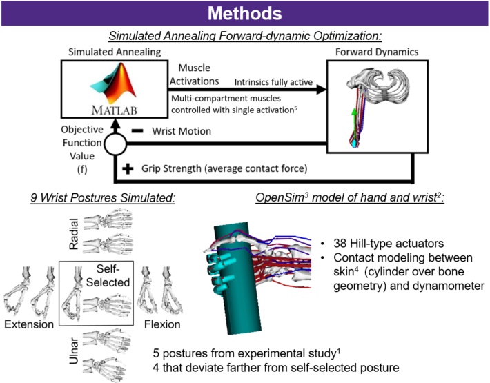 methods section