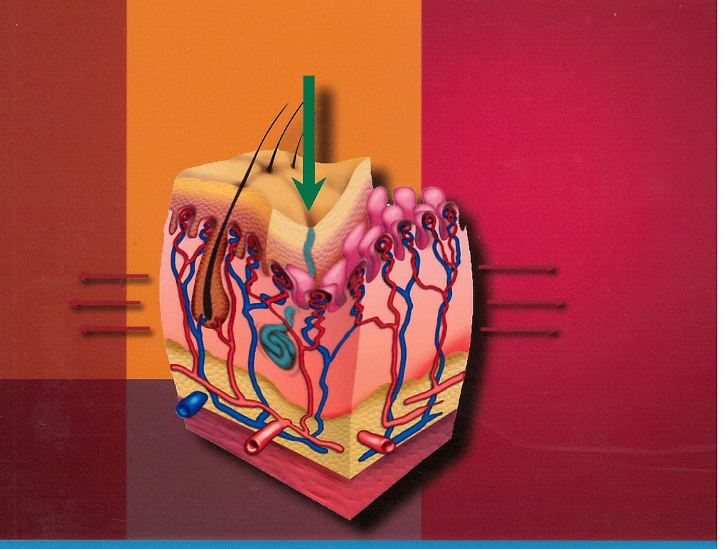 Wound, Ostomy and Continence Nurses Society Core Curriculum Wound