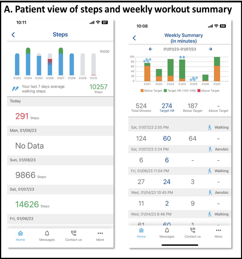 Datos Patient View