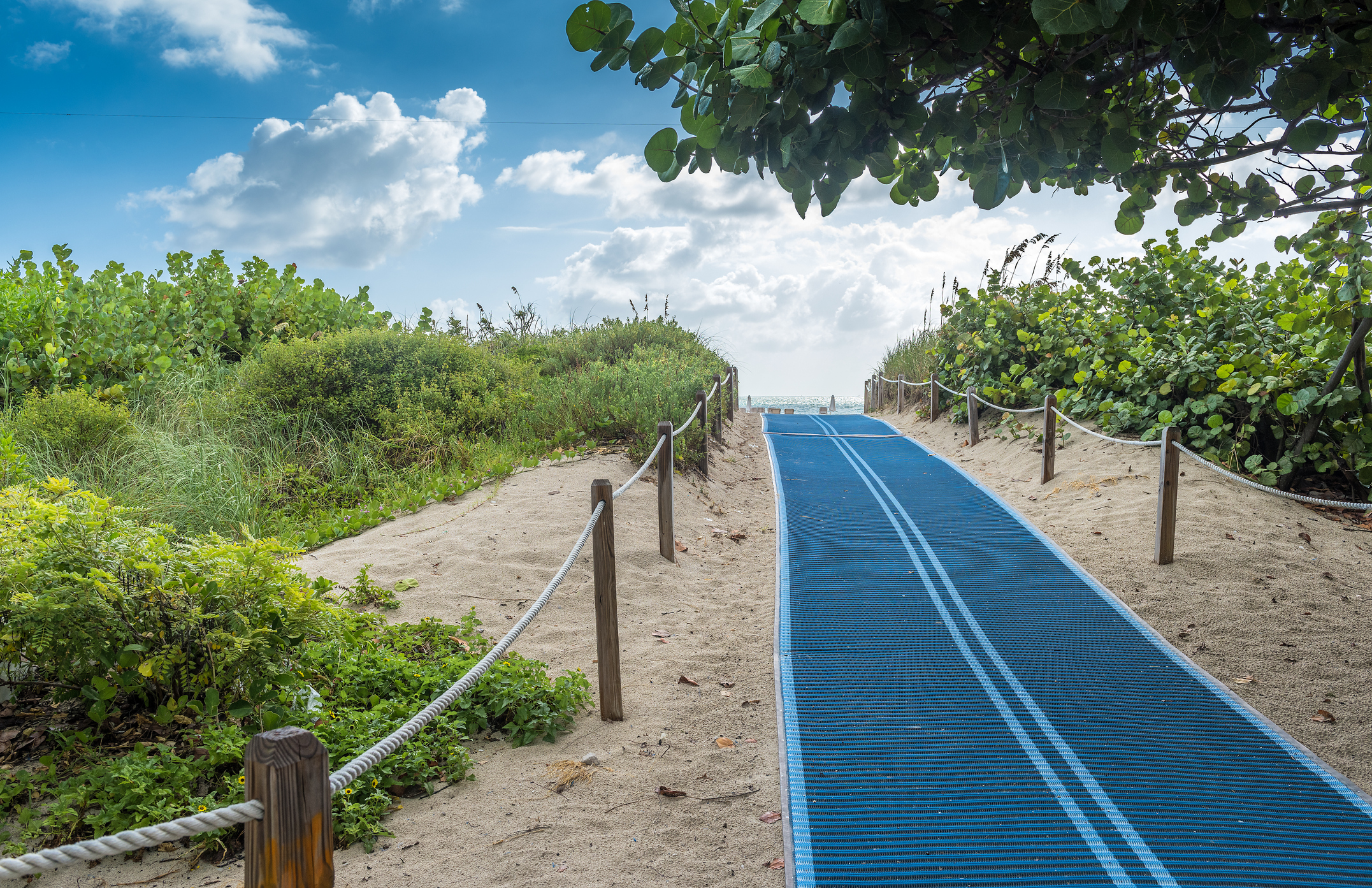 Beach mats