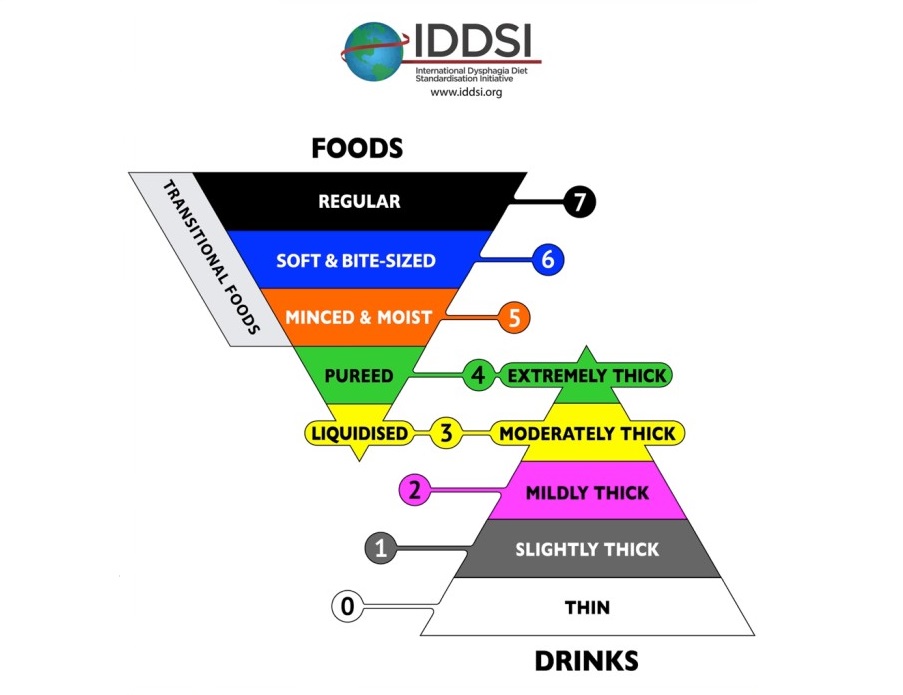 IDDSI body