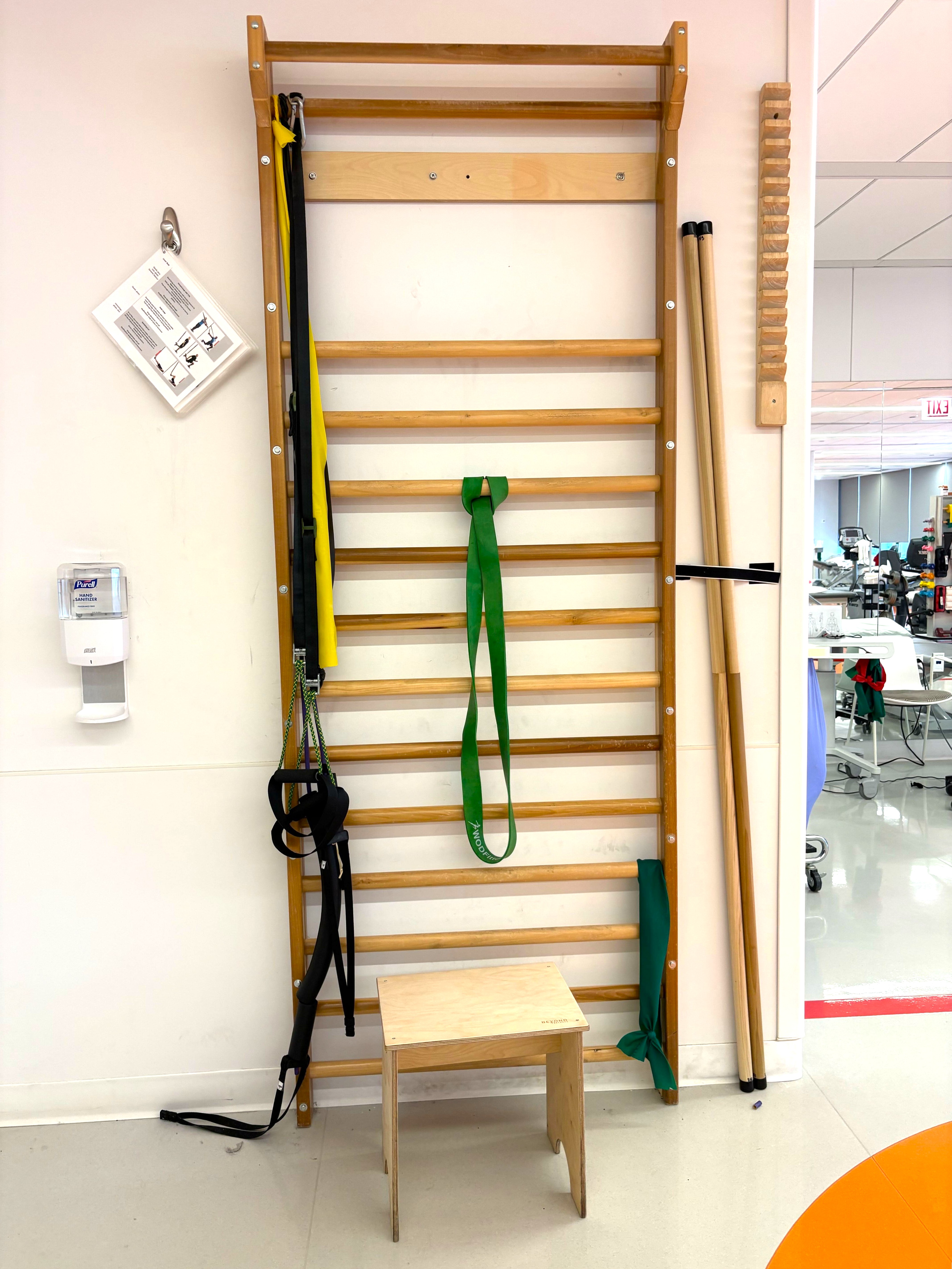 Schroth Method Ladder