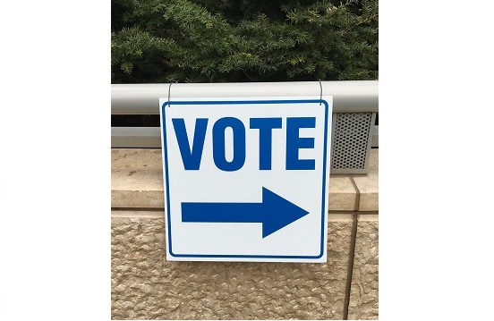 Vote sign