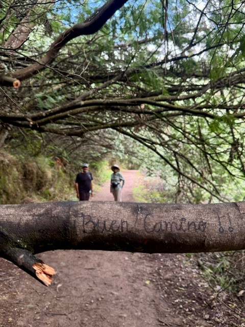 Faye and Ganesh on the Camino de Santiago in Spain