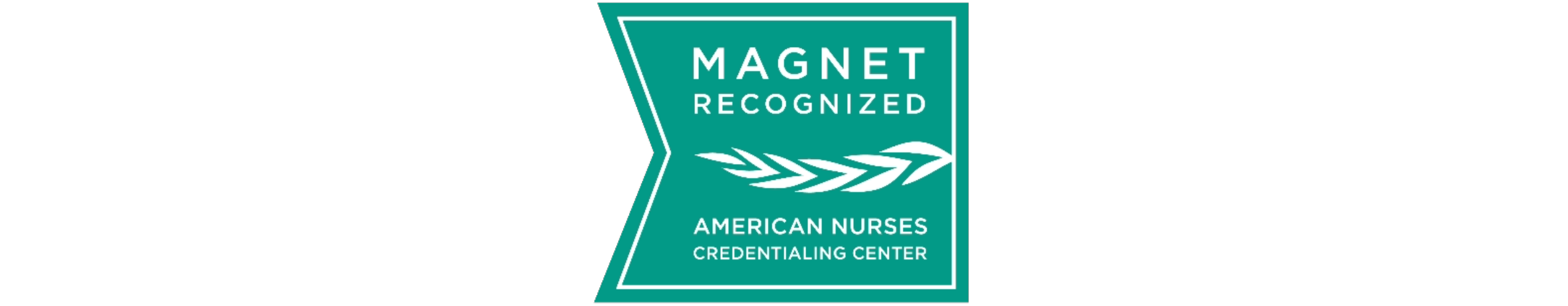 Magnet logo