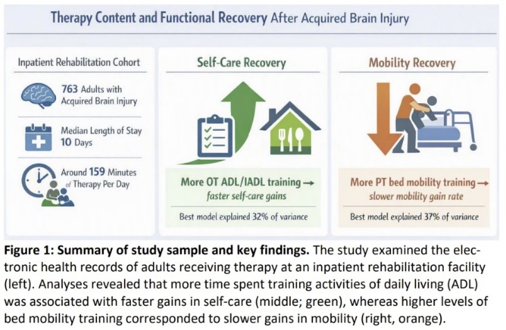 graphic titled Therapy Content and Functional Recovery After Acquired Brain Injury.