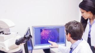 Research Highlights
