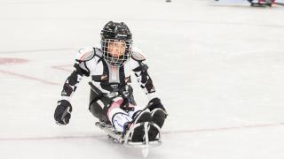sled hockey