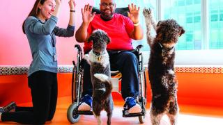 animals help patients relax