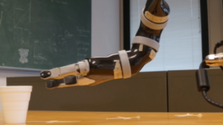 Bionic Arm