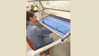 Robot-Assisted Upper Extremity Rehabilitation
