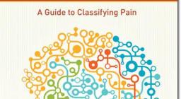 A World of Hurt: A Guide to Classifying Pain
