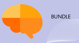 Webinar Bundle for Stroke Education Courses