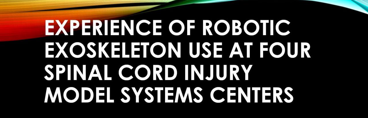 Experience of Robotic Exoskeleton 