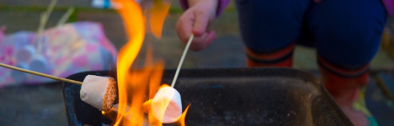 Marshmellows over the fire