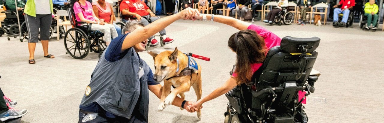 k9 Therapy corps - getting involved at Shirley Ryan AbilityLab