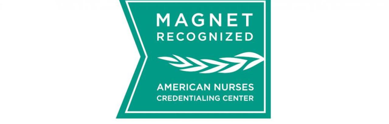 program magnet