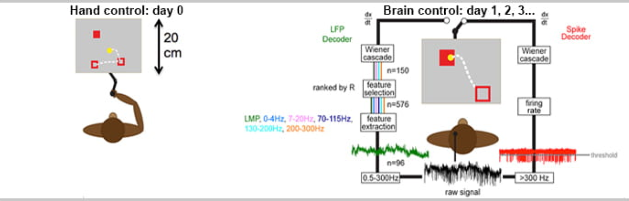 hand control data image