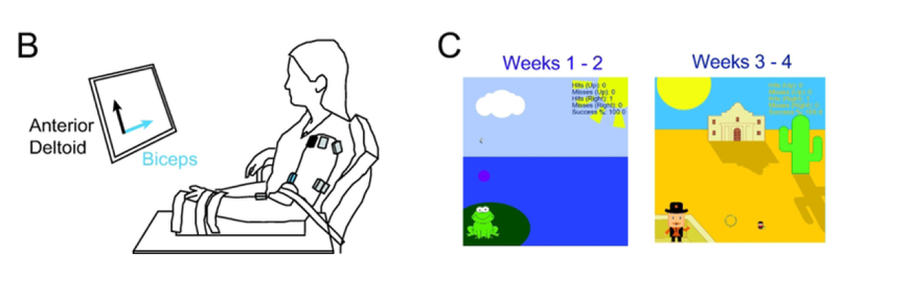 article illustration of arm video use