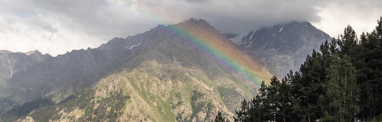 rainbow moutain pine trees