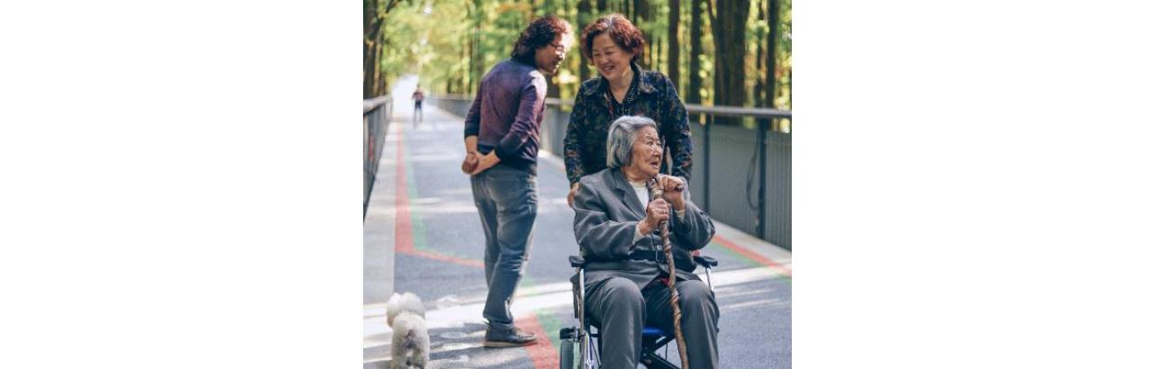 Person on wheelchair with caregiver in park coming across a stranger with dog.