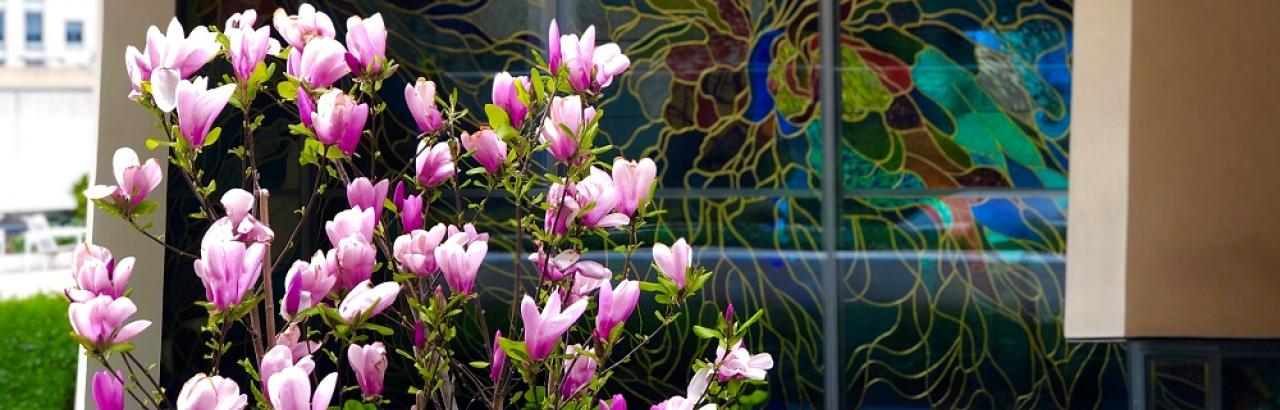 Outdoor gardens in bloom with stained glass from Chapel