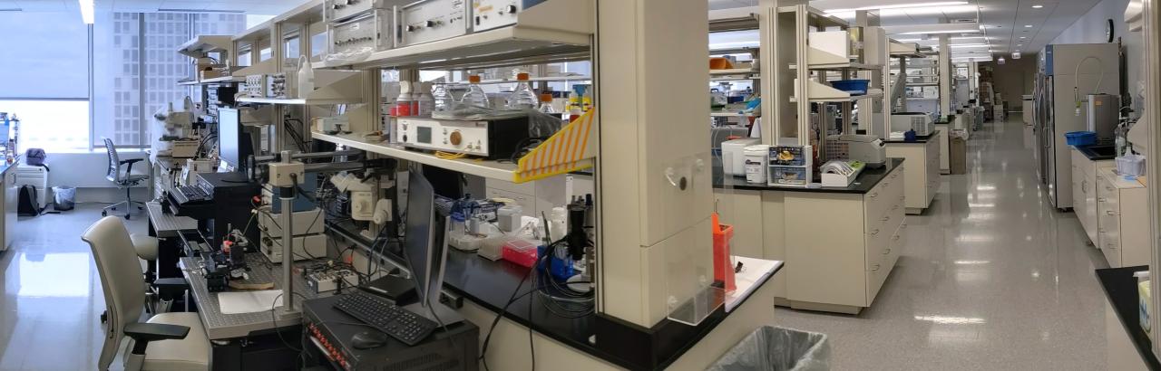 Lab panoramic