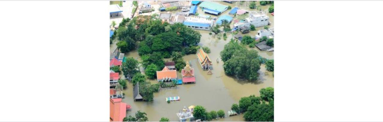 photo of block that has been flooded. Tops of tree and roofs are showing