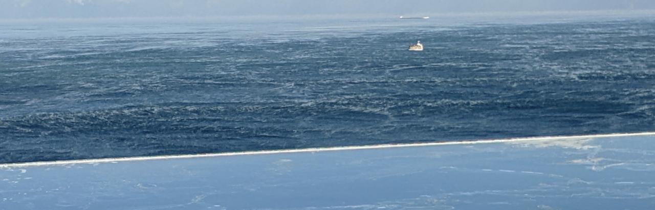 Lake Michigan