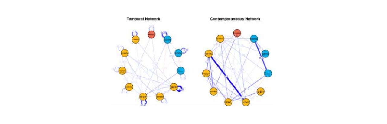 graphic showing temporal and contemporaneous networks
