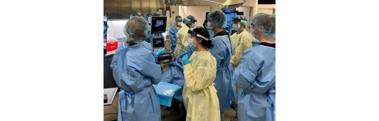 Ultrasound Course