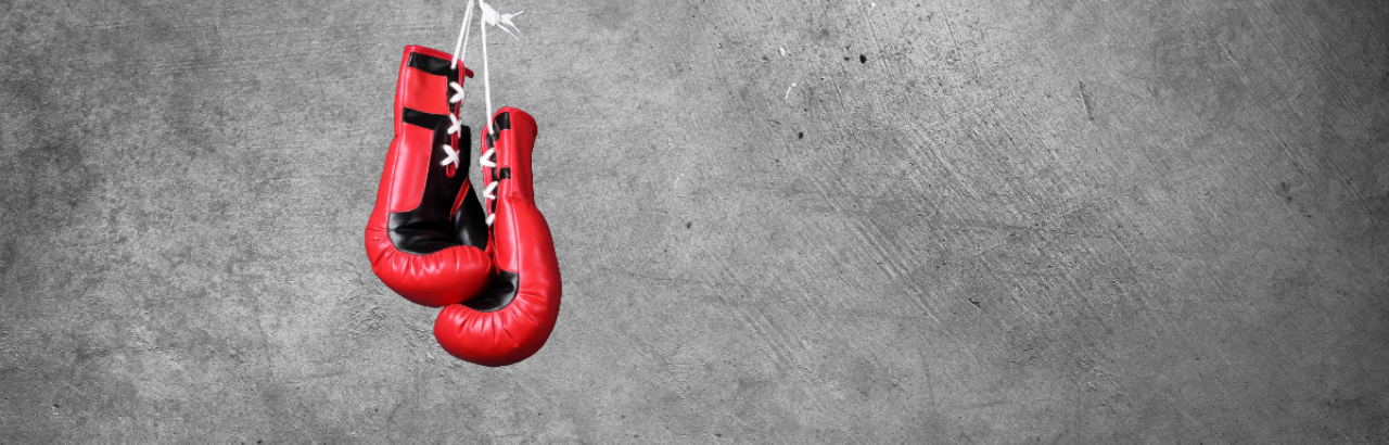 Boxing gloves