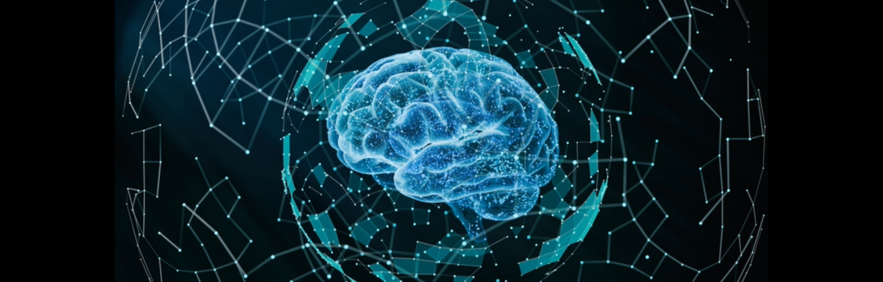 Brain