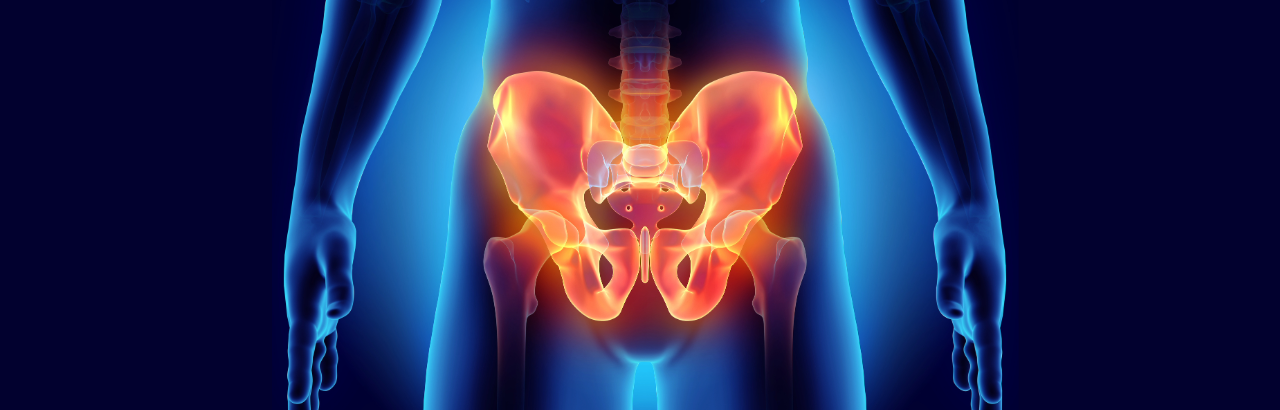 pelvic floor
