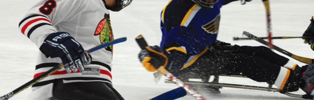 sled hockey