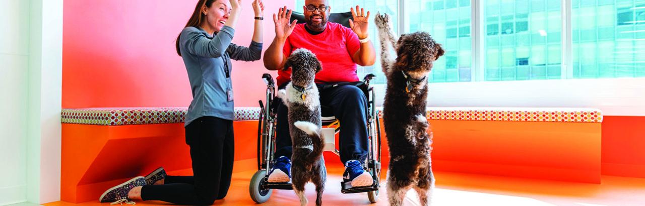 Animal Assisted Therapy | Shirley Ryan AbilityLab