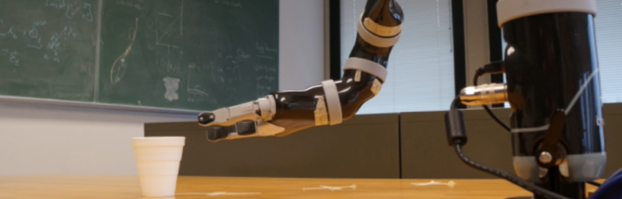 Bionic Arm