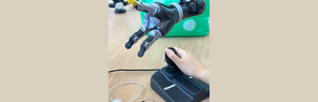 Robot Motion
