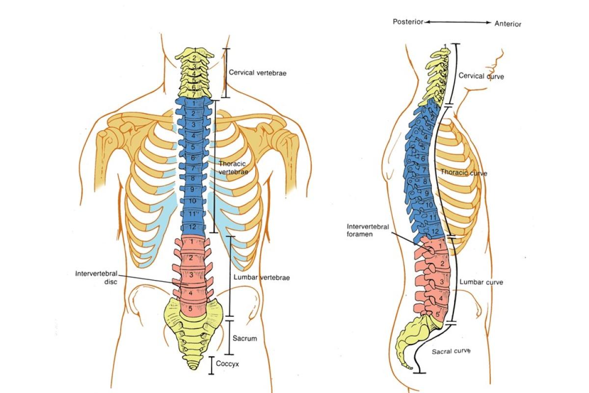 Listing Spinal Cord Injury Resources Sci Shirley Ryan Abilitylab