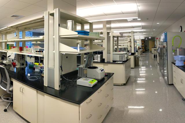 Lab view