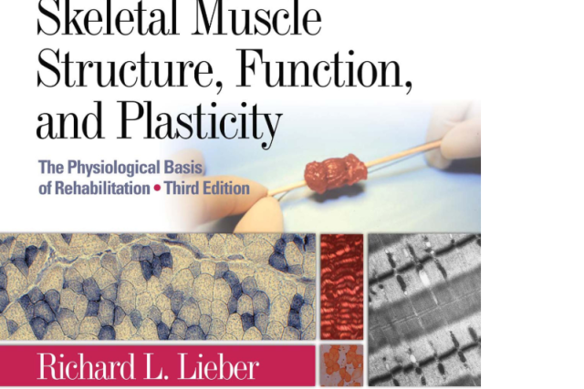 Book Cover for Skeletal Muscle Atructure, Function, And Plasticity