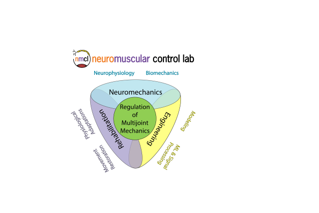 NMCL Research Themes Diagram showing the intersections of Neuromechanics, Rehabilitation, and Engineering merging to create a core labeled Regulation of Multijoint Mechanics
