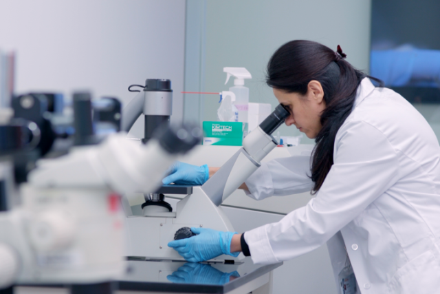 Mitra Lavasani, PhD