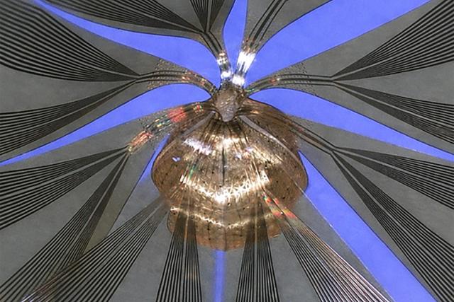 The soft, 3D electronic framework wraps around an organoid like a breathable, high-tech mesh.