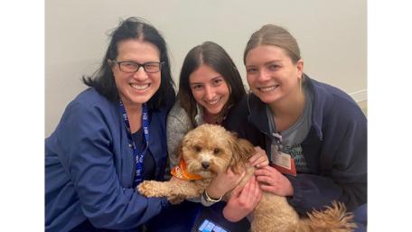 LiFT: Visits from Staff Support Dogs Bailey and Lottie 