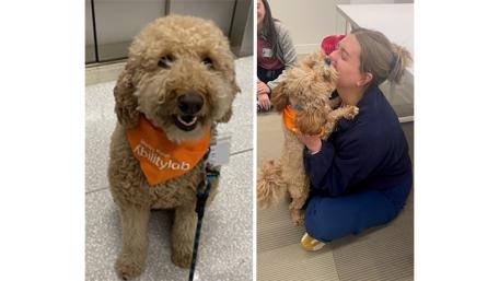 LiFT: Visits from Staff Support Dogs Bailey and Lottie — Feb. 20 & 28, March 6 & 14