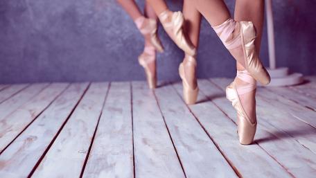 Dancers often sustain injuries requiring rehabilitation