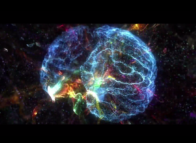 Image of neural networks of the brain