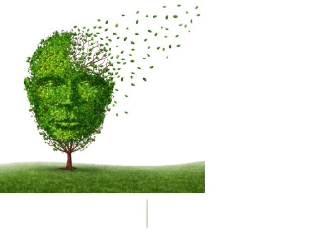 Brain header